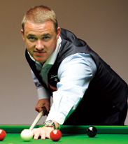 瓦足球的象 瓦足球的象