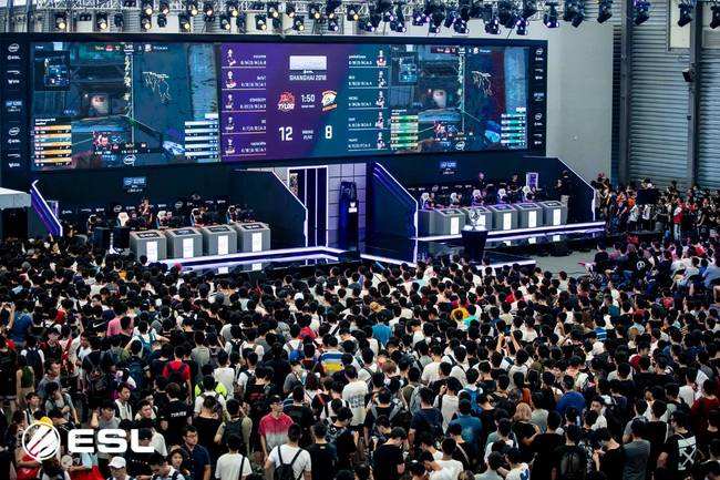 看到的是公 看到的是公