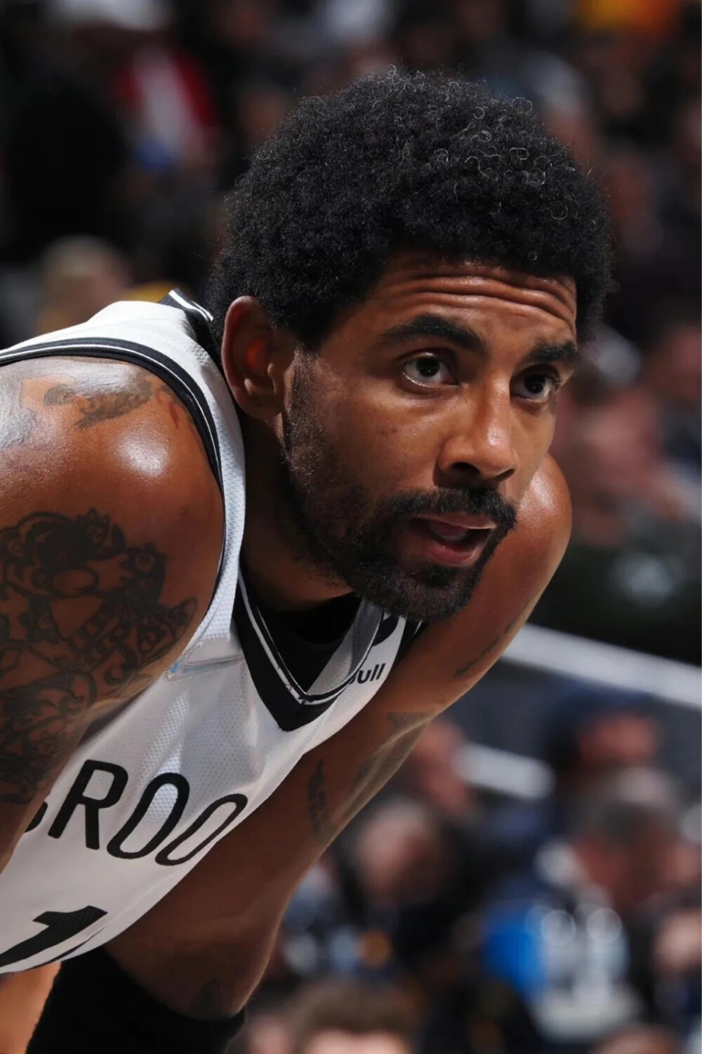 这一观点不 这一观点不