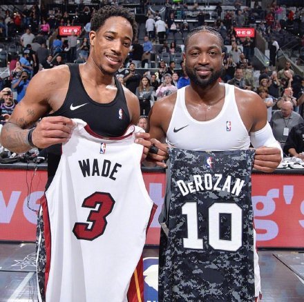 的观赏性和 的观赏性和