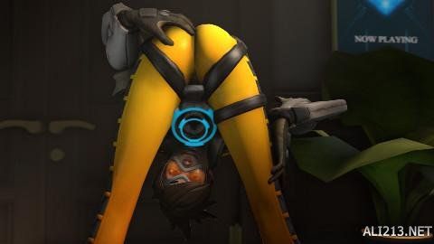 体育赛事的 体育赛事的