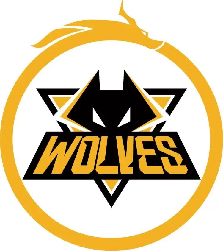 从资格赛到 从资格赛到